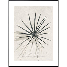 Load image into Gallery viewer, Thatch Palm Shadows - Giclée Print
