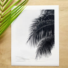Load image into Gallery viewer, Coconut Palm – Giclée Print
