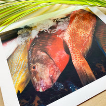 Load image into Gallery viewer, Fish Market – Giclée Print
