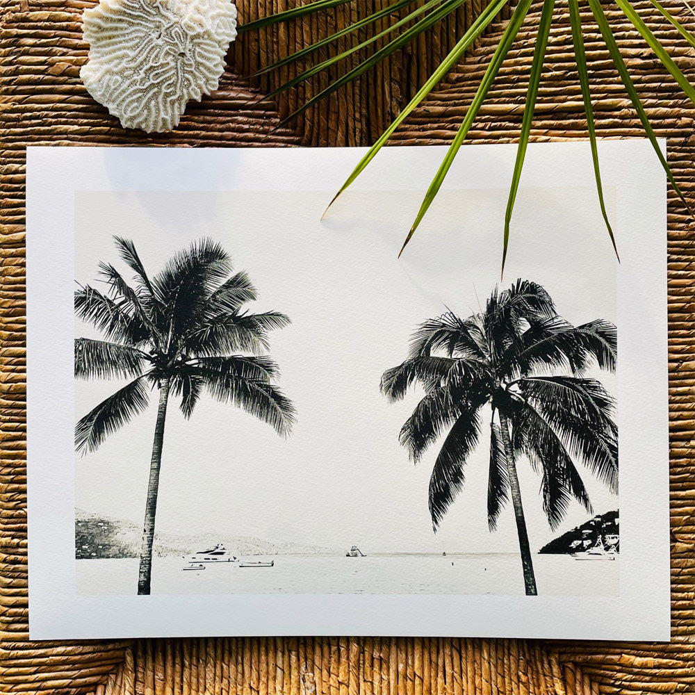 Palm Palms – Giclée Print